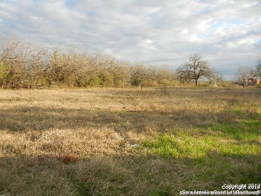 15870 Saint Hedwig Rd - Photo 1