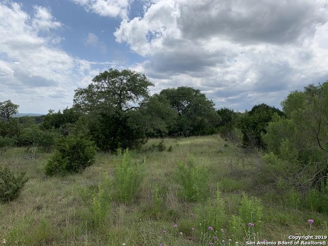 1237 Mystic Shores Blvd - Photo 1