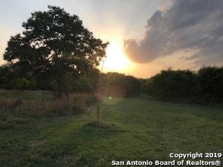 14095 Bradley Rd - Photo 1