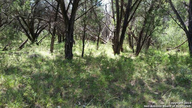 1050 Forest Trail Dr - Photo 1