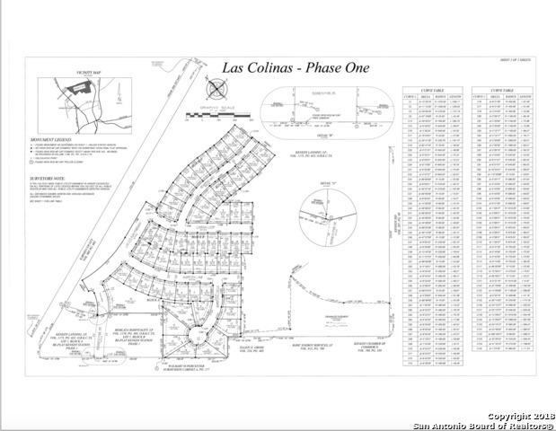 711 Cadena Loop - Photo 1