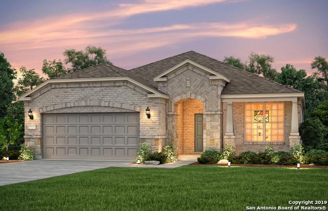 3707 Daisy Spring - Photo 1