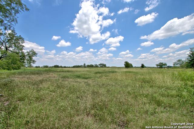 0 Elroy Williams Rd - Photo 1