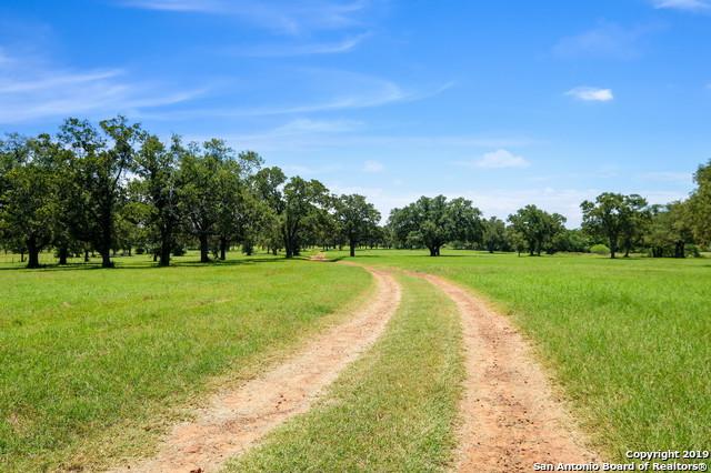 1166 County Road 259 - Photo 1