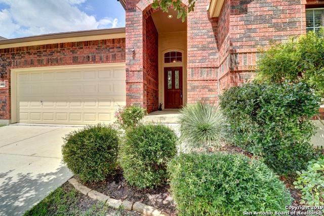 4806 Barboli - Photo 1