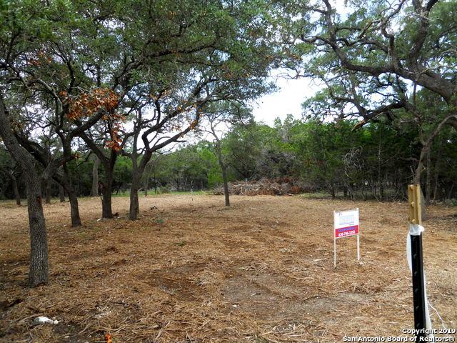 TBD Spanish Oak - Photo 1