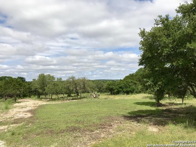 31411 Silver Spur Trail - Photo 1