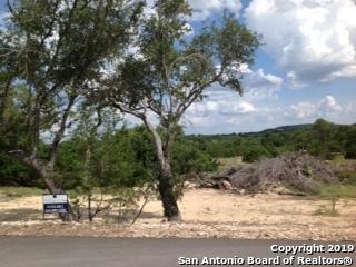 322 Desert Quail - Photo 1