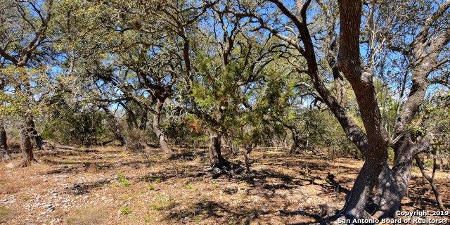 606 Alamo Rd - Photo 1