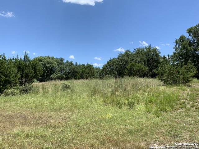 770 Andrew Run - Photo 1