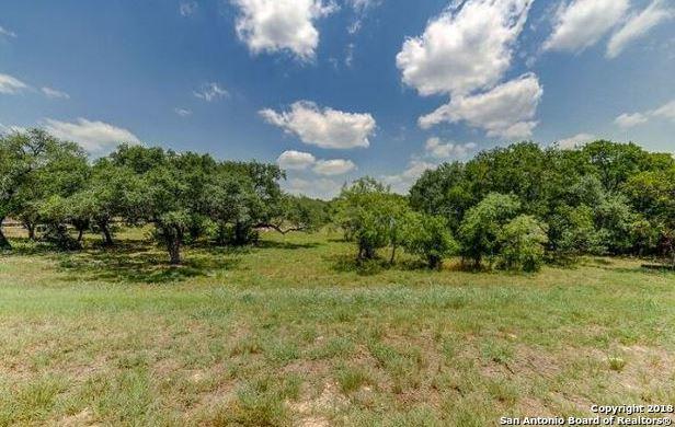 12231 Westcreek Oaks - Photo 1