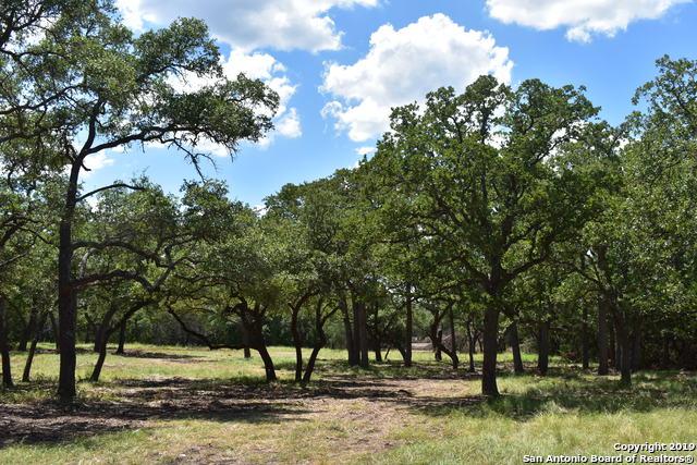 33715 Blanco Rd - Photo 1