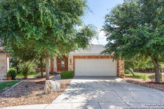 12534 Sandy Dunes - Photo 1