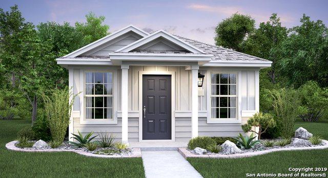 7851 Nopalitos Cove - Photo 1