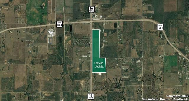 20210 State Highway 16 S - Photo 1