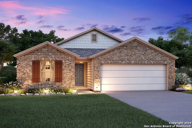 4811 Red Bandit Street - Photo 1