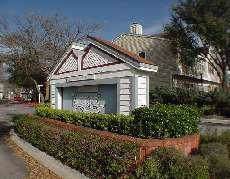 12210 Apricot Dr - Photo 1