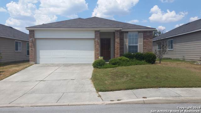 7659 Paraiso Haven - Photo 1