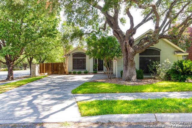 13603 Auburn Oaks - Photo 1