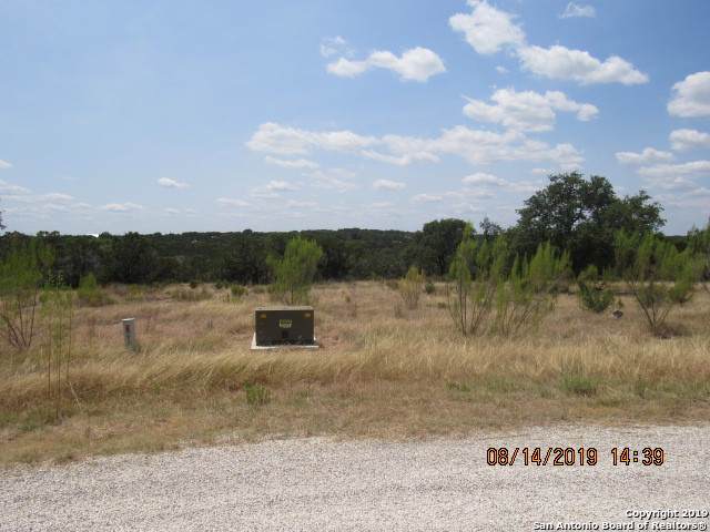 1154 Hidden Frst - Photo 1