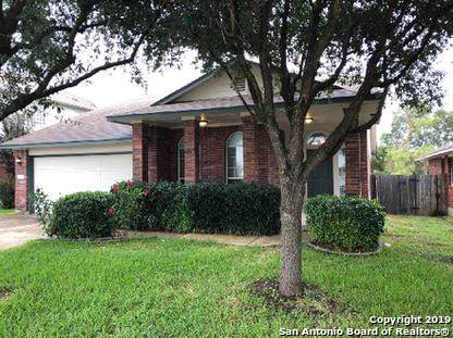 3601 Sandy Koufax Ln - Photo 1