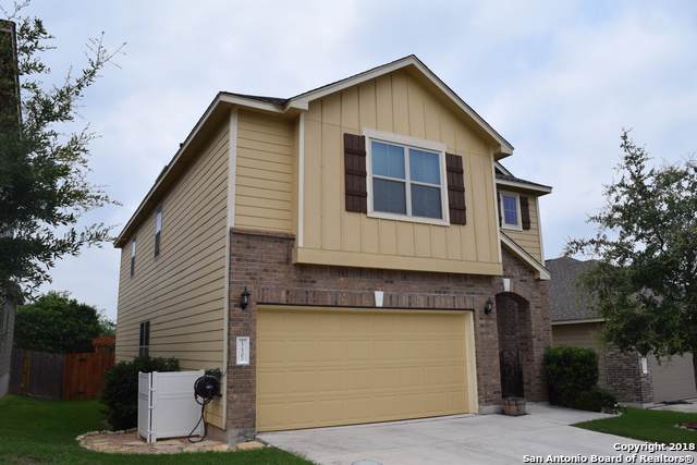 12502 Coal Mine Rise - Photo 1