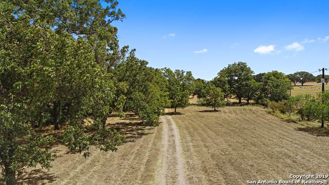 408 Us Highway 281 - Photo 1