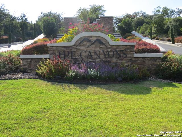 23402 Collin Canyon - Photo 1