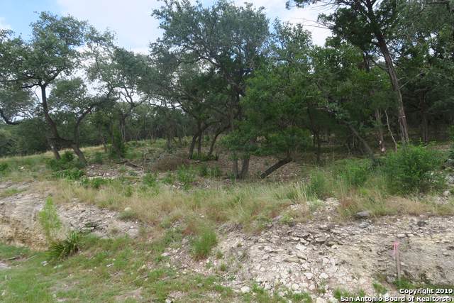 20322 Bobwhite Run - Photo 1