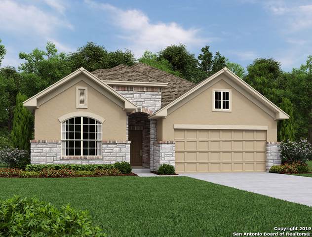 27809 Spanish Peak - Photo 1