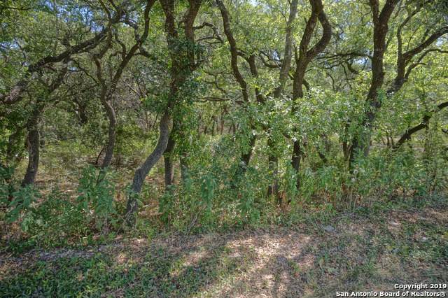 27252 Sherwood Forest Dr - Photo 1