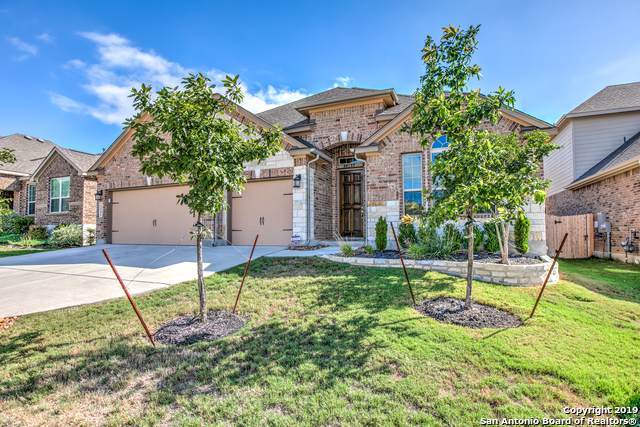 25506 Vista Bella - Photo 1