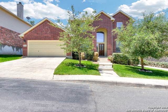3614 Globe Willow - Photo 1
