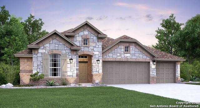 32137 Cardamom Way - Photo 1