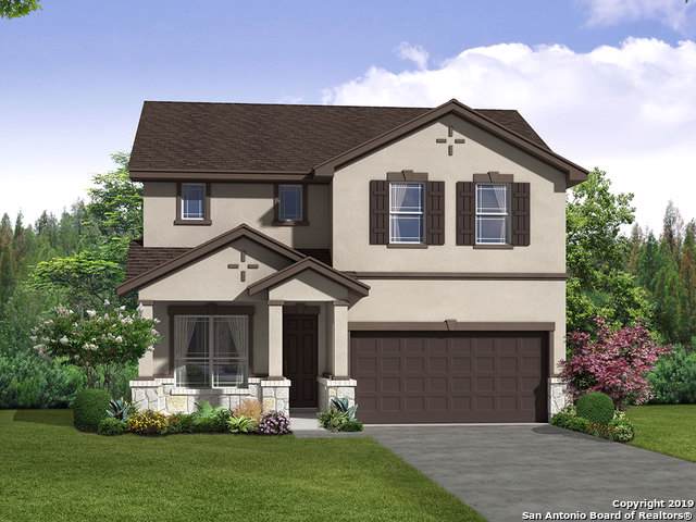 11655 Tribute Oaks - Photo 1