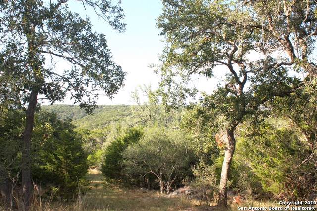2410 Mountain Creek Rd - Photo 1