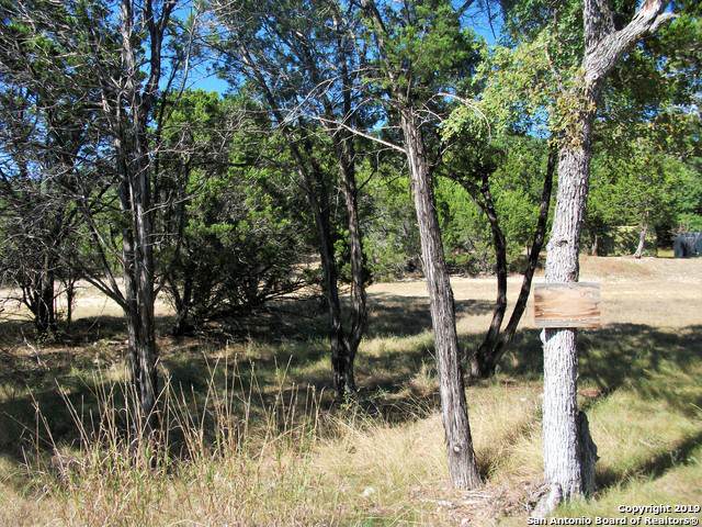 8151 Rebecca Creek Rd - Photo 1
