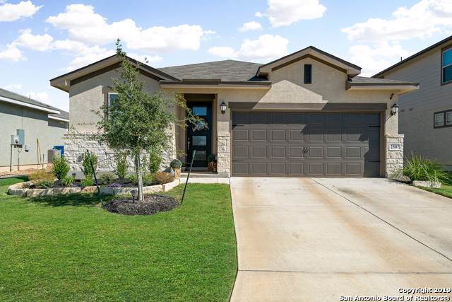 2507 Castello Way - Photo 1