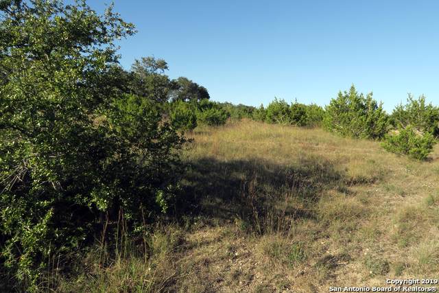 11463 Cat Springs - Photo 1