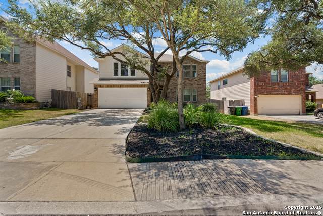 10230 Rainbow Creek - Photo 1