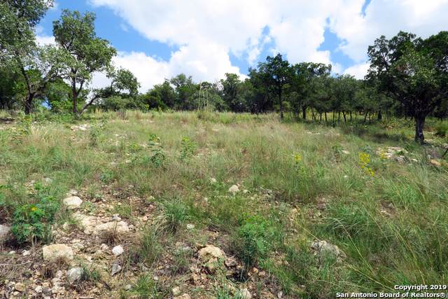 20414 Bobwhite Run - Photo 1