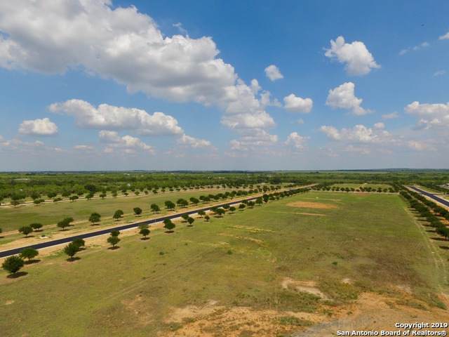 LOT 24 Tree Farm Drive - Photo 1
