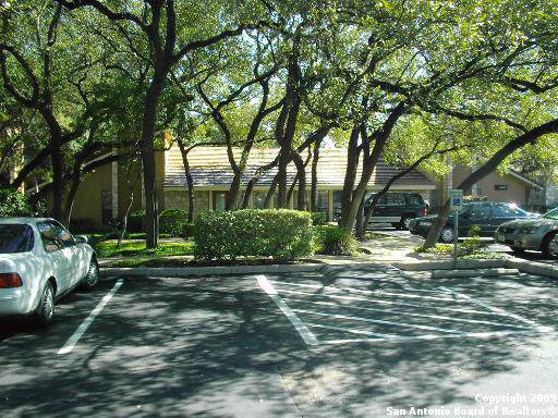 8002 West Ave - Photo 1