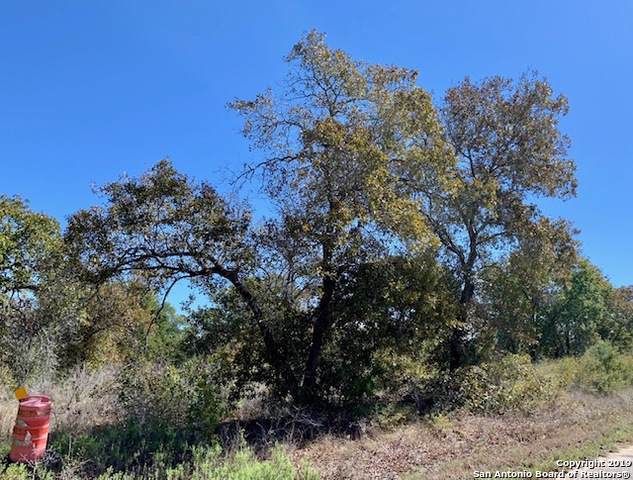 2050 Clear Lake Loop - Photo 1