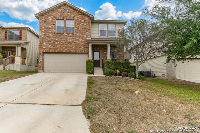 10343 Lupine Canyon - Photo 1
