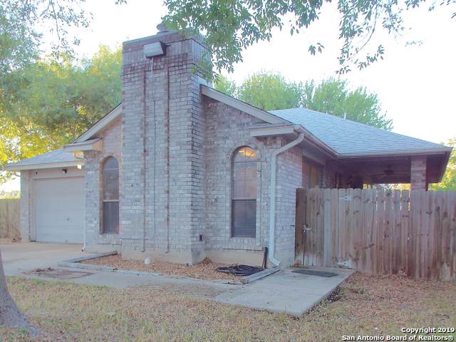 11419 Bald Mtn - Photo 1