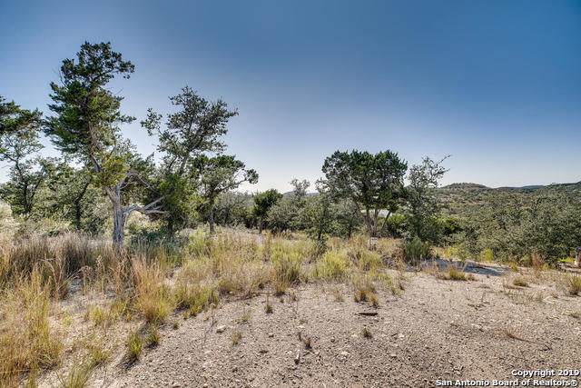 10110 Emily Springs - Photo 1
