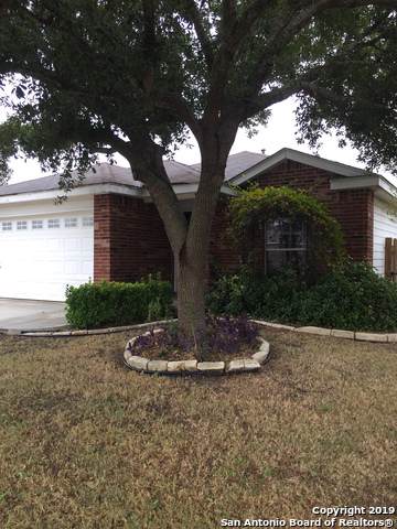 211 Starling Creek - Photo 1