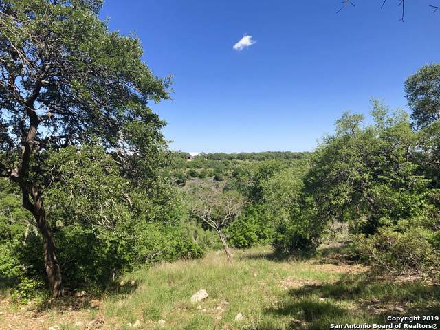 10427 Doherty Springs - Photo 1