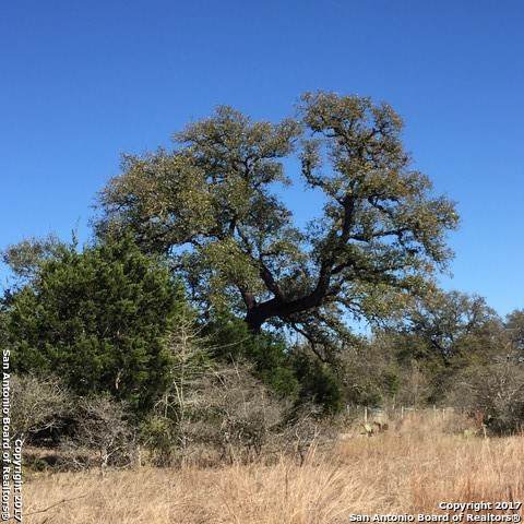 LOT 2063 Smokey Loop - Photo 1